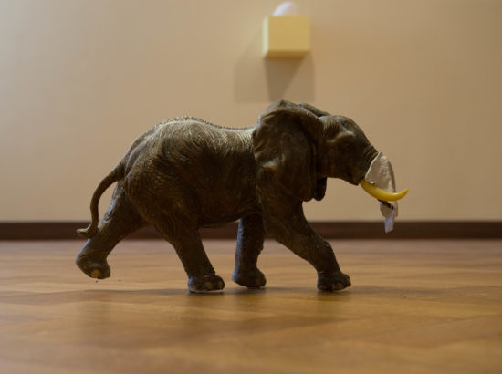 Kirke Kangro skulptuurinäituse "Diskreetne elevant" avamine